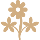 Hand-Selected, Premium Blooms