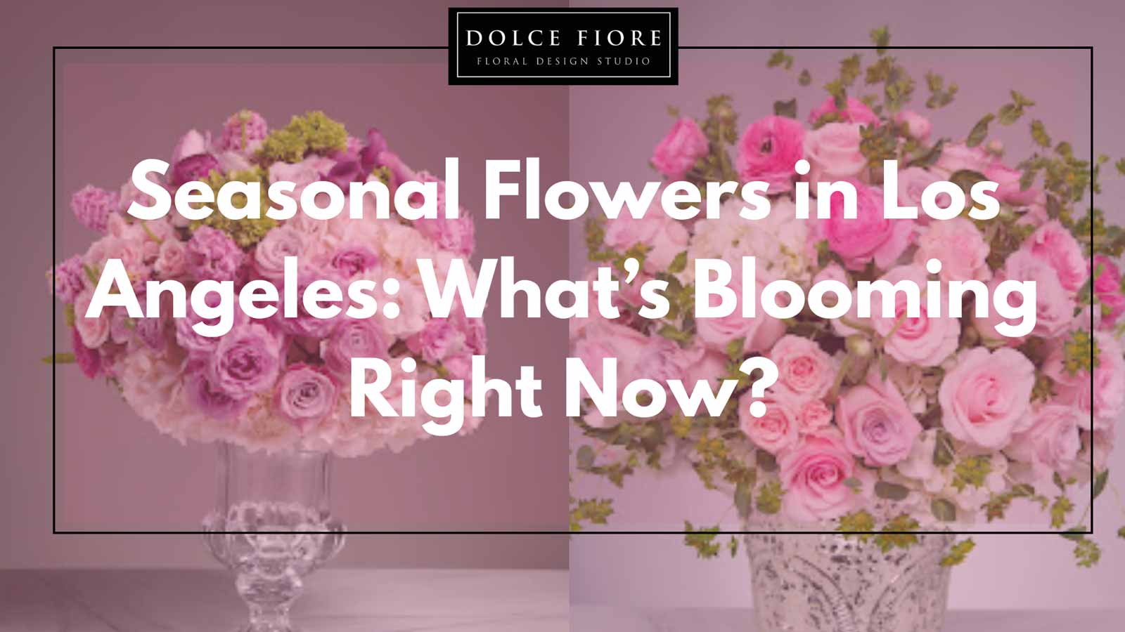 Seasonal Flowers in Los Angeles: What’s Blooming Right Now?